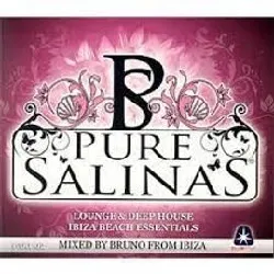 cd pure salinas - lounge & deep house ibiza beach essentials (part 2)
