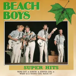 cd the beach boys - super hits (1988)
