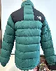 doudoune the north face verte et noire en duvet et plume