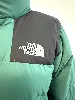 doudoune the north face verte et noire en duvet et plume