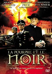 dvd la pourpre et le noir
