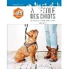livre à l'école des chiots