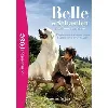 livre belle et sébastien 2 l'aventure continue - le roman du film