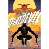 livre daredevil - tome 2 - péchés capitaux