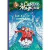 livre la cabane magique, tome 35