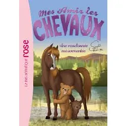 livre mes amis les chevaux tome 5 - une randonnée mouvementée