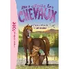 livre mes amis les chevaux tome 5 - une randonnée mouvementée