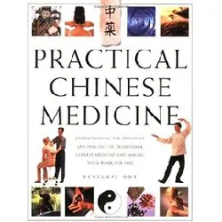 livre practical chinese medicine: understanding the principles and practice of traditional chinese medicine and making them work f