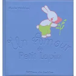 livre un amour de petit lapin
