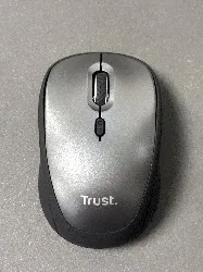 souris sans fil trust 25335-03