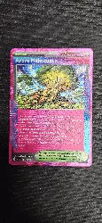 carte pokémon arbre majestueux 136/142