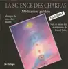 cd jean - marc staehle - la science des chakras (méditation guidées) (1995)