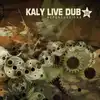 cd kaly live dub - repercussions (2005)
