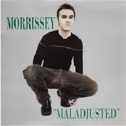 cd maladjusted [12 inch analog