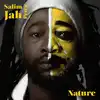 cd salim jah peter - nature (2017)