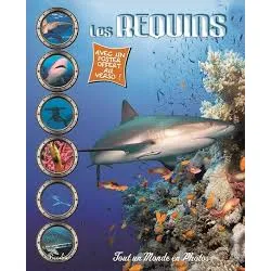 livre les requins