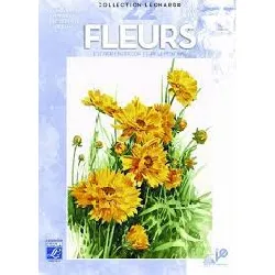 livre peindre les fleurs
