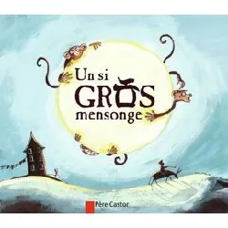 livre un si gros mensonge