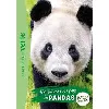 livre wild immersion - tome 8 - expédition au pays des pandas