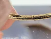 bague or sertie de 3 pierres de couleur facettées or 375 millième (9 ct) 1,30g