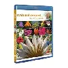blu-ray antoine - naturellement... - fleurs & plantes - combo + dvd