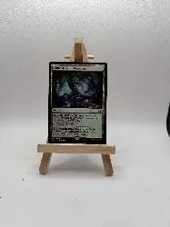 carte magic clairière des oronges brunes