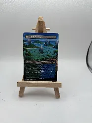 carte magic côte de la yavimaya