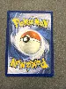 carte pokémon grahyèna 243/217