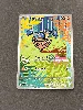 carte pokémon kapoera 240/217