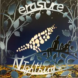 cd erasure - nightbird (2006)
