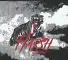 cd harsh - out of control (2022)