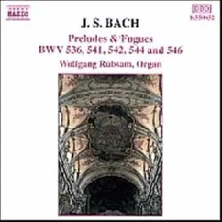 cd preludes & fugues bwv 536, 541, 542, 544 & 546 rübsam, orgue