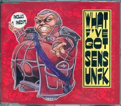 cd sens unik - what i've got (1995)