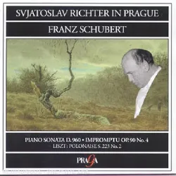 cd sonate pour piano no. 21, impromptu no. 3 richter, piano + liszt