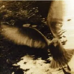 cd take me home : a tribute to john denver (mark kozelec, bonnie pribce