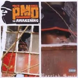 cd the awakening