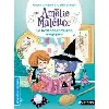 livre amélie maléfice - le des formules magiques