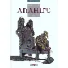 livre anahire tome 2 - l'élu