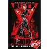 livre black widow - des liens indéfectibles