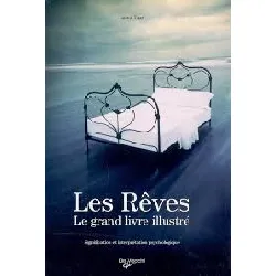 livre le dictionnaire des rêves (illustré) laura tuan