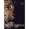 livre les princes de la savane - léopards & guépards