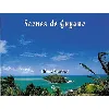 livre scènes de guyane