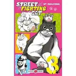 livre street fighting cat - vol. 03