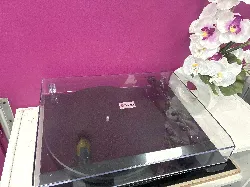 platine vinyle pro ject debut carbon