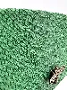 sac à main vimoda cuir imitation serpent vert avec bandoulière chaîne