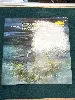 vinyle harpe & flûte indiennes, vol.2 (1971-06-00, france)