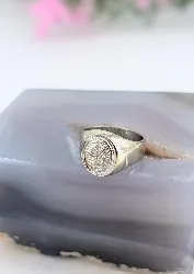 bague chevalière en or blanc avec une pavage de diamants forme ovale or 750 millième (18 ct) 5,57g
