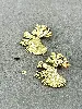 boac boucles d'oreilles ginkgo