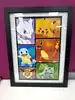 cadre pokemon