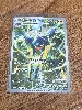 carte pokémon lucanon 230/217 fr